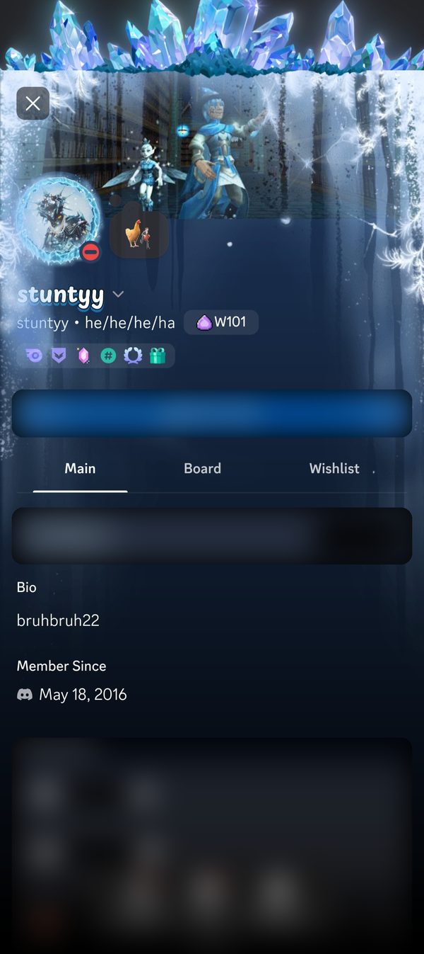 stuntyy's Discord profile