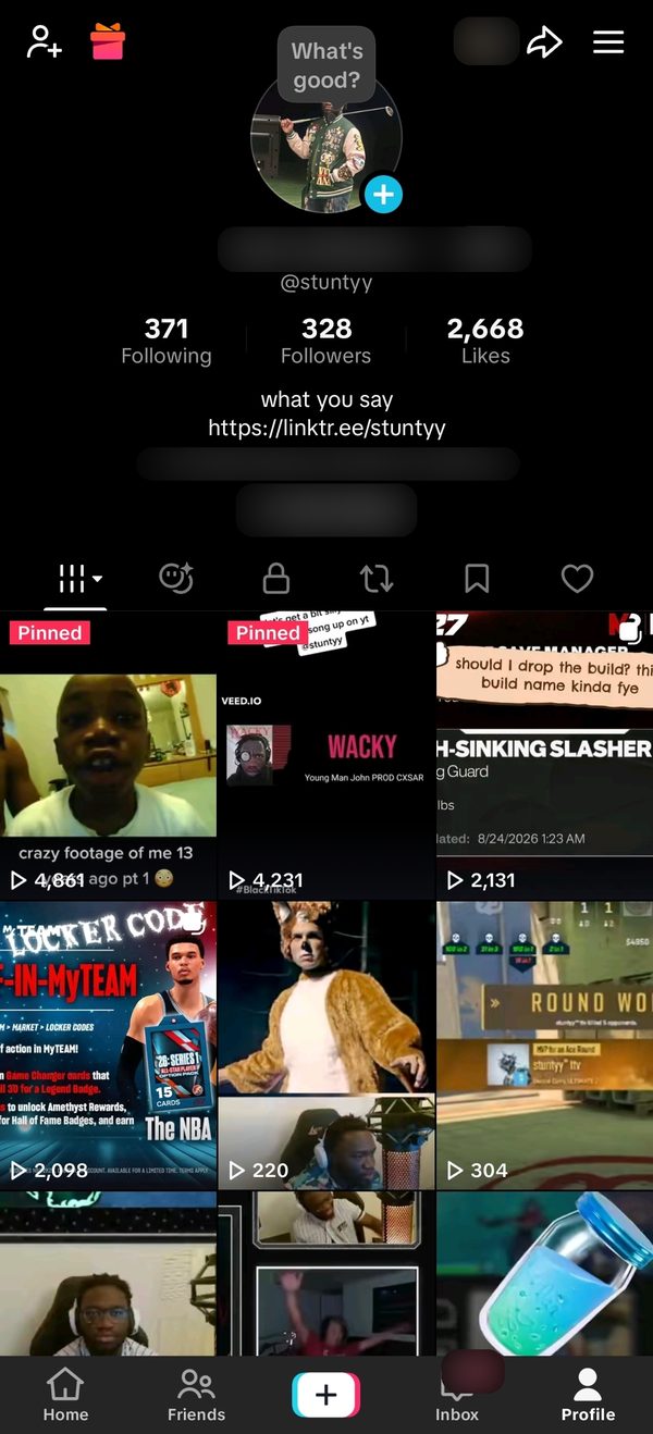 stuntyy's TikTok profile